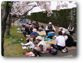 桜の木の下での昼食風景